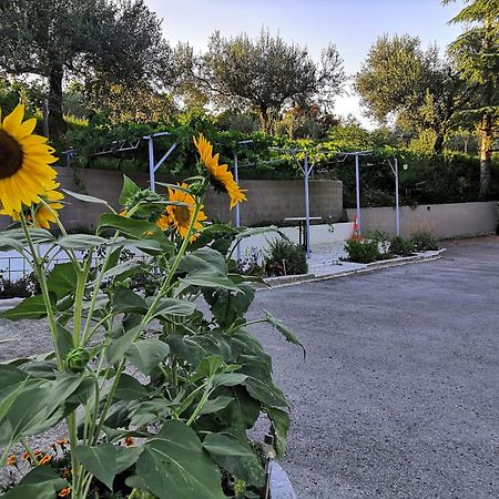 Rosemarin Apartment Koper Luaran gambar