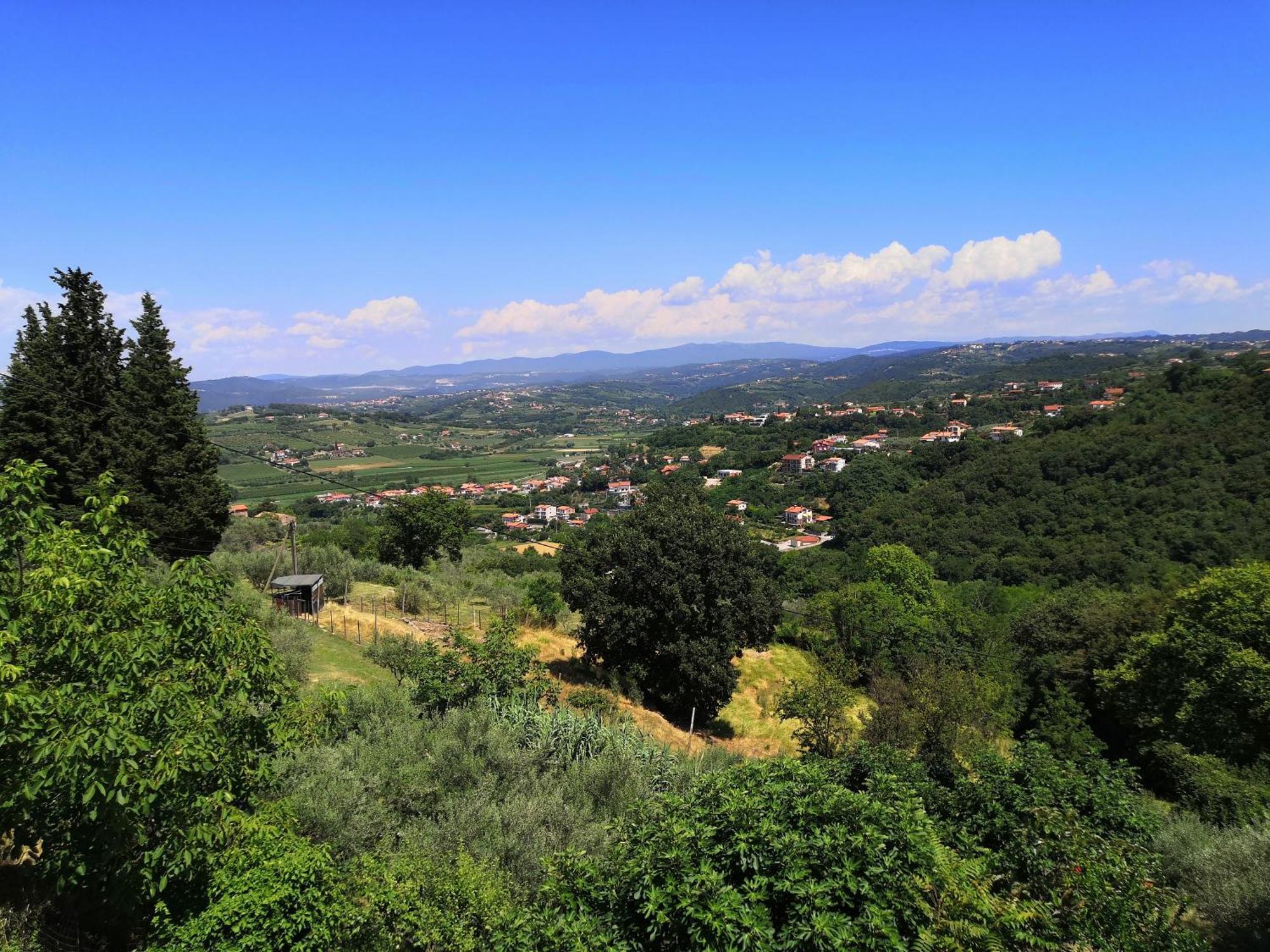 Rosemarin Apartment Koper Luaran gambar