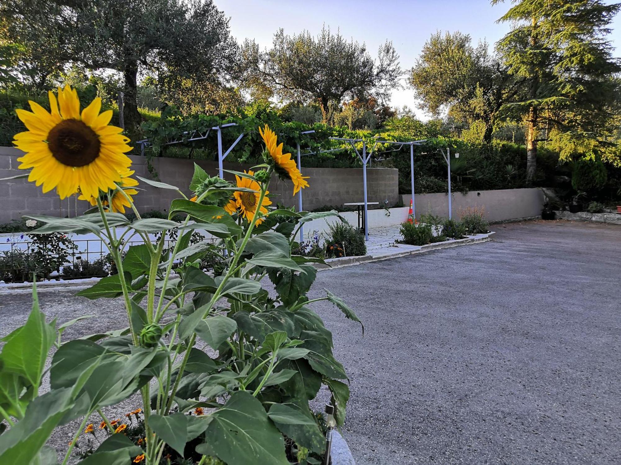 Rosemarin Apartment Koper Luaran gambar